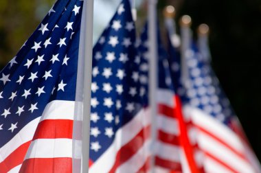Gaziler günü onuruna Amerikan bayrağı görüntülemek