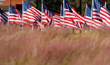 Gaziler günü onuruna Amerikan bayrağı görüntülemek