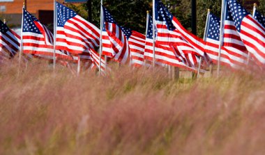American Flag Display in honor of Veterans Day clipart