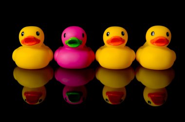 Dare to be different - rubber ducks on black clipart