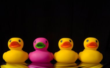 Dare to be different - rubber ducks on black - with water ripple clipart