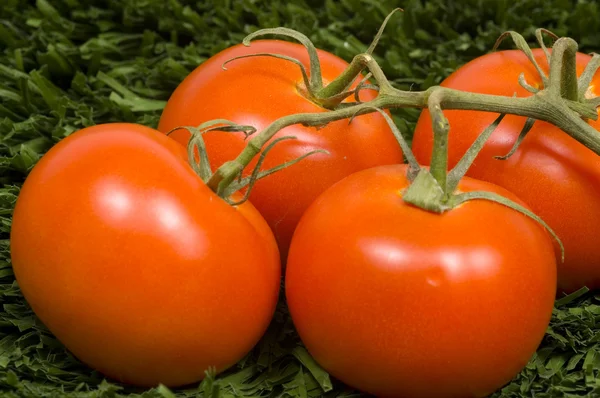 Red Tomatoes — Stock Photo, Image