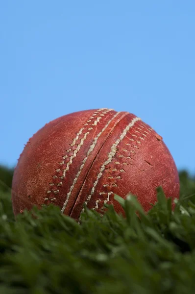 Balle de cricket sur herbe avec ciel bleu — Photo