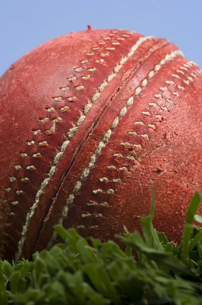 Pelota de cricket sobre hierba con cielo azul —  Fotos de Stock