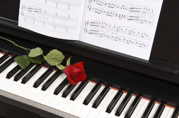 Partitury s růžemi na klavíru — Stock fotografie