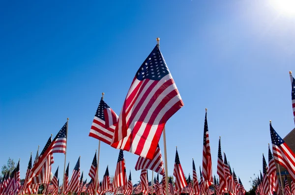 Выставка американского флага в честь Дня ветеранов — стоковое фото