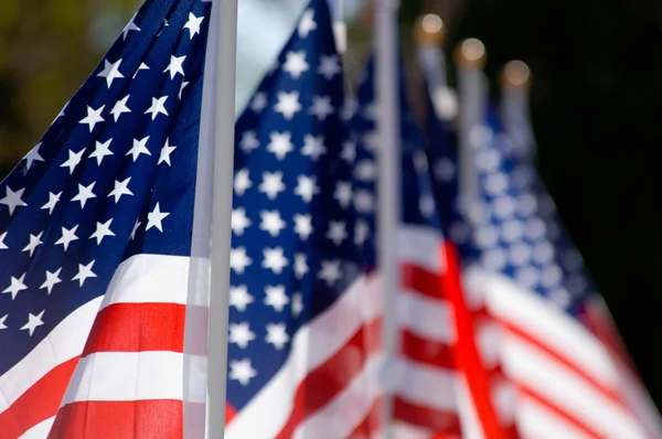 Exhibición de la bandera americana en honor al Día de los Veteranos —  Fotos de Stock