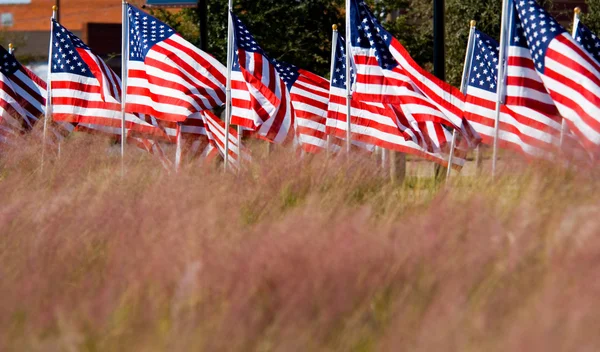 Amerikaanse vlag weergeven ter ere van veteranen dag — Stockfoto