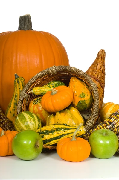 Cornucopia — Stock Photo, Image