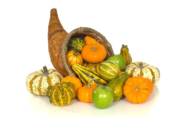 Cornucopia — Stock Photo, Image