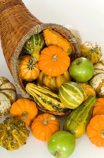 Cornucopia — Stock Photo, Image