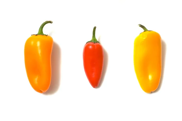 Čerstvá paprika zeleninová — Stock fotografie