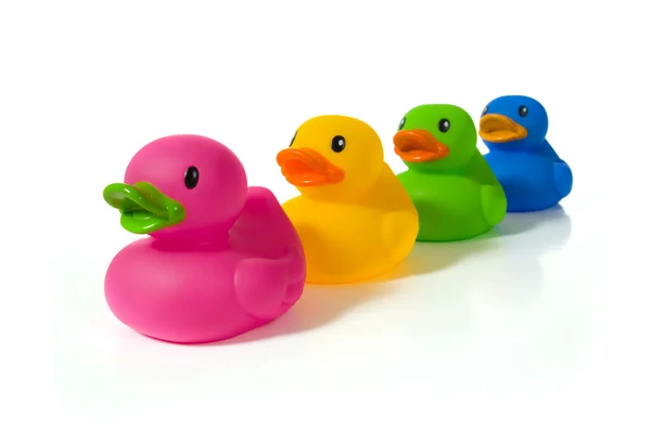 Diverse ducks — Stock Photo, Image