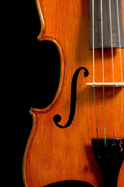 Violino su nero — Foto Stock