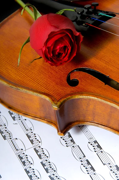 Violino, rosa e spartiti — Foto Stock