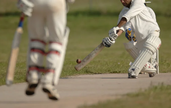 Engelse cricket match — Stockfoto