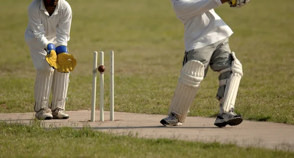 Inglés Cricket match — Foto de Stock