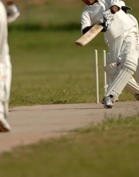 Partido de cricket —  Fotos de Stock