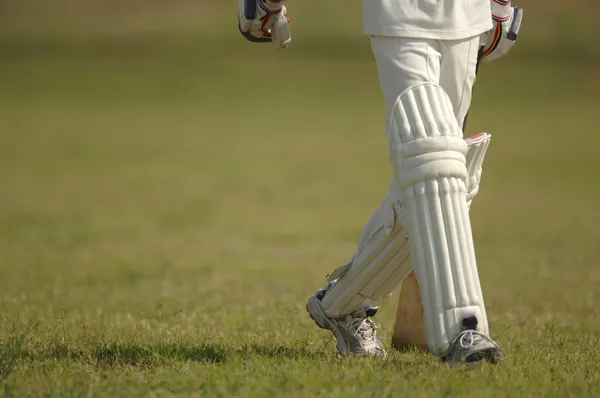 English Cricket — Stock Photo, Image