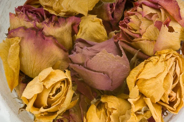 干燥的玫瑰花 — 图库照片