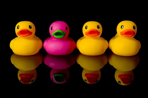 Dare to be different - rubber ducks on black — Stock Photo, Image