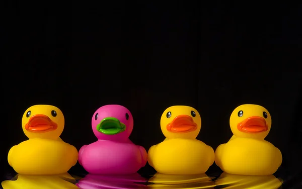 Dare to be different - rubber ducks on black - with water ripple — Stock Photo, Image