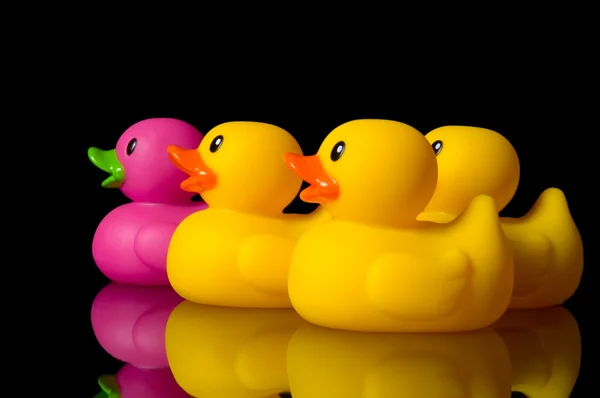Dare to be different - rubber ducks on black — Stock Photo, Image