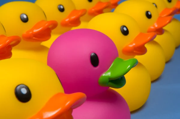 Dare to be different - rubber ducks on blue