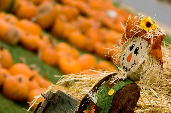 Autumn Decoration — Stock Photo, Image