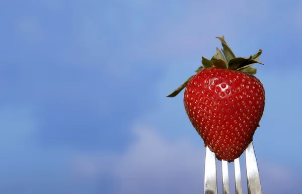 Strawberry on Fork against Blue Sky — Stock Photo, Image