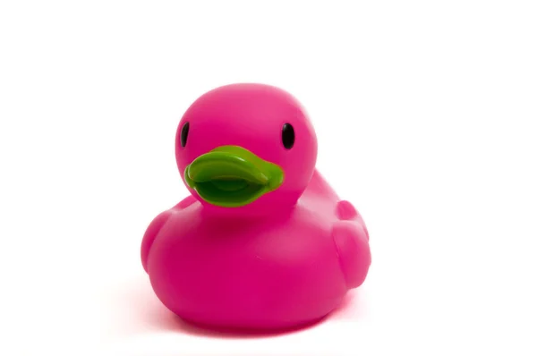 Canard en caoutchouc violet rose sur blanc — Photo