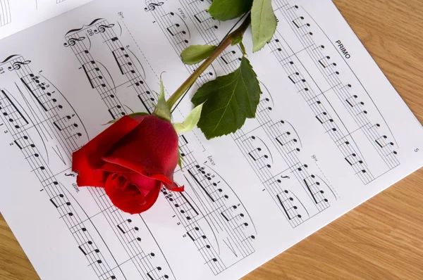 Sheet Music with Rose Royalty Free Stock Photos