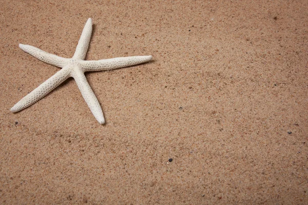 Fondo de arena con una estrella de mar — Foto de Stock