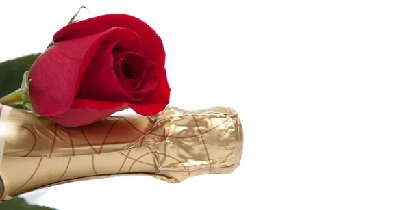 The neck of a champagne bottle with a red rose on a white backgr — Stock Photo, Image