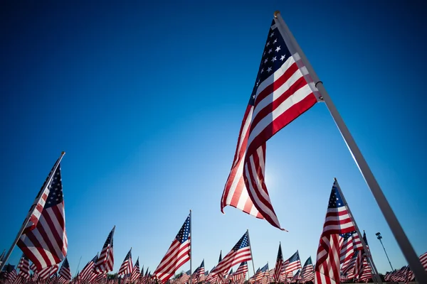 Una dispalia di bandiere americane con sfondo cielo — Foto Stock