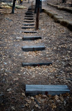 sonbahar izni ile taş kaldırım