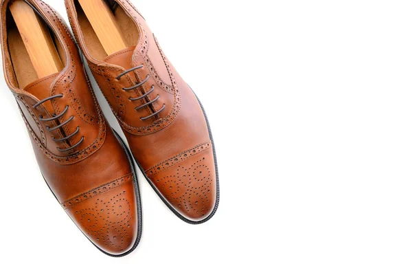 A pair of brown leather shoes on white with copy space Stock Image