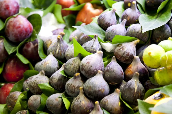 Frische Feigen — Stockfoto