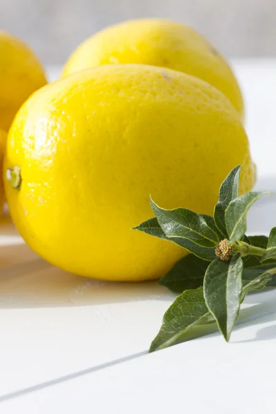 Limones frescos — Foto de Stock