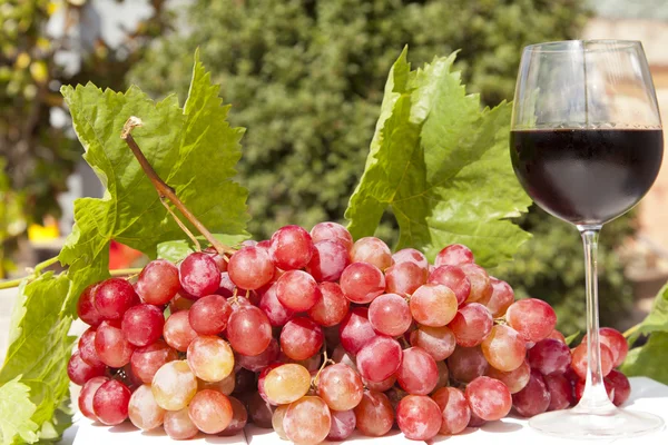 Grapes and wine — Stock Photo, Image