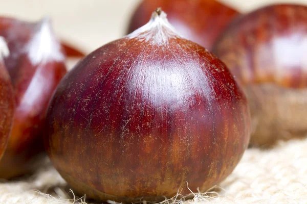 Chestnuts — Stock Photo, Image