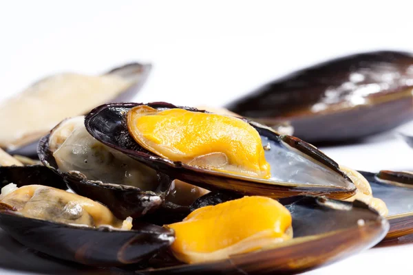 Mejillones al vapor — Foto de Stock