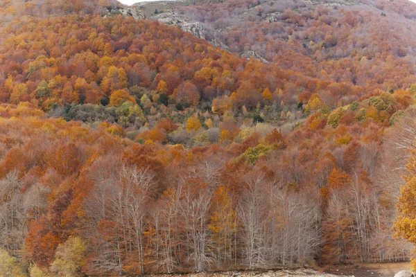 Montseny no outono — Fotografia de Stock