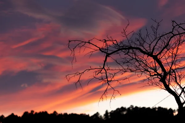 Захід сонця на осінній — стокове фото