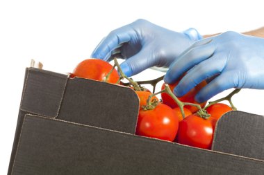 Fruiterer