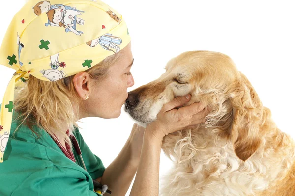 Veterinary consultation — Stock Photo, Image