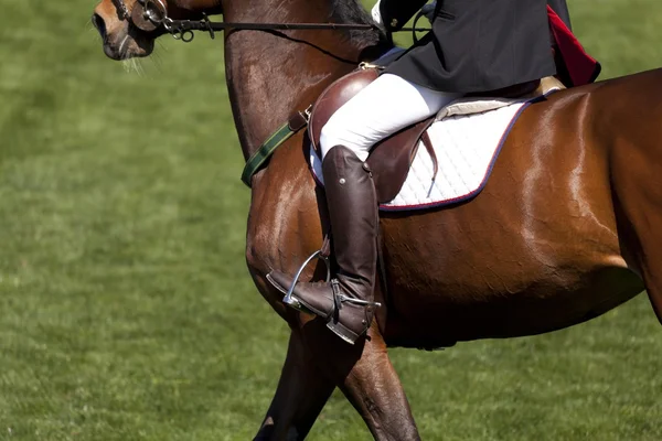 Cavalier en compétition de saut en hauteur — Photo