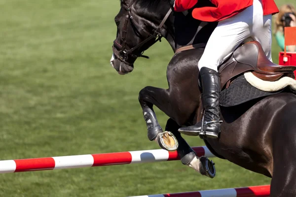 Ruiter op een high jump competitie — Stockfoto