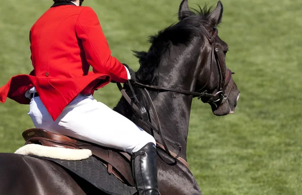 Rider on a high jump competition — Stock Photo, Image