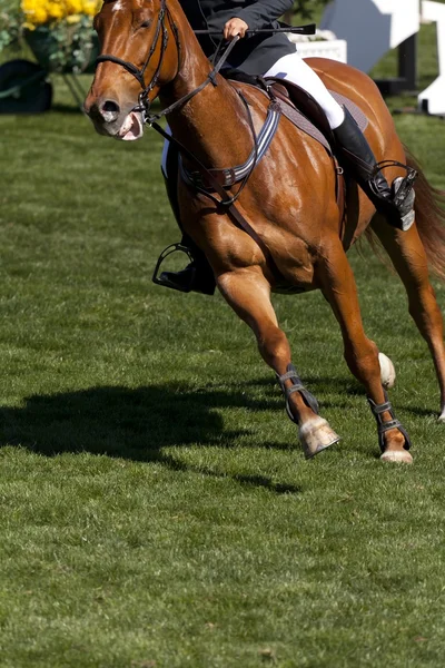 Rider on a high jump competition — Stock Photo, Image